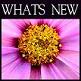 Click here to find out what's new!